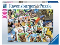 Puslespill 1000 Reisende Dyre Dagbok