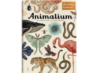 Bilde av Isbn Animalium, Polsk, Innbundet (hardcover), 104 Sider