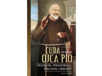 ISBN Cuda swietego Ojca Pio, Religion, Polsk, Innbundet (hardcover), 208 sider Papir & Emballasje - Kalendere & notatbøker - Notatbøker