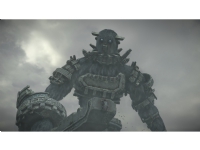 Sony Interactive Entertainment Shadow of the Colossus, PlayStation 4, T (Teen) Gaming - Spill - Playstation 4