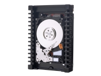 WD VelociRaptor WD2500BHTZ - Harddisk - 250 GB - intern - 2,5 - SATA 6 Gb/s - 10000 rpm - buffer: 64 MB