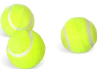 MASTER tennisbolde - 3 stk.