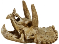 4FISH Kranie 14,3x12x9,7 cm Kjæledyr - Fisk & Reptil - Sand & Dekorasjon