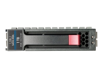 HPE Midline - Harddisk - 500 GB - SATA 6Gb/s - 7200 rpm - Smart Buy - med HP SmartDrive-holder