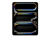 IPAD PRO 13 WIFI 256GB SP BLK