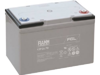 10 rs Fiamm Blybatteri 12v/70Ah