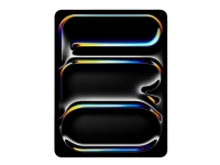 13-inch iPad Pro Wi-Fi