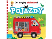 Hva skjuler vinduene? Kjøretøy 34162