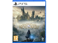Cenega Galtvort Legacy - PlayStation 5