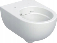 Geberit toalettskål Geberit Selnova Premium Vegghengt toalettskål, trakt, B36cm, H33cm, T53cm, skjulte fester, kantfri [6]