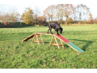 Trixie Dog Activity Agility dogwalk, 456 × 64 × 30 cm