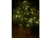 Sirius - Knirke 40 lys med timer, Klar/Grøn