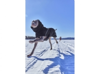 Hurtta Extreme Warmer III ECO Hundejakke Svart (45)