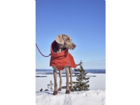 Hurtta Extreme Warmer III ECO Hundejakke Lysebrun (30)