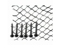 Siena Garden 22170-2-36 Damsæt 1 stk