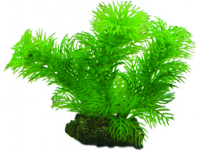 Dohse Egeria, 13 cm