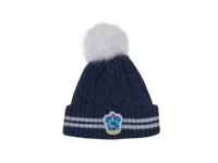 Ravenclaw hue med kvast