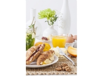LAGUIOLE Butter knives Laguiole Stainless Steel SET 4 SdV