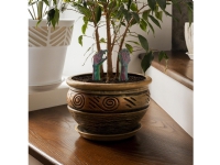 Mad Monkey - Zombie Hand