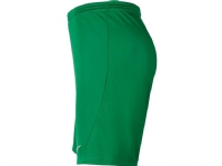 Nike Dri-FIT Park III barneshorts grønn polyester (147 - junior)