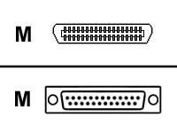Lexmark – Parallell kabel – 36 pin mini-Centronics (hane) till DB-25 (hane) – 1.8 m – för Lexmark C720 C750 C752 C910 C912 T520 T620 T622 W812 W820 X522 X830 X832 X912