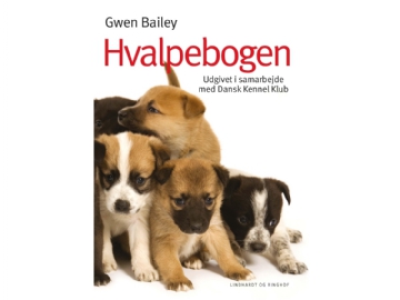 ComputerSalg.dk 
